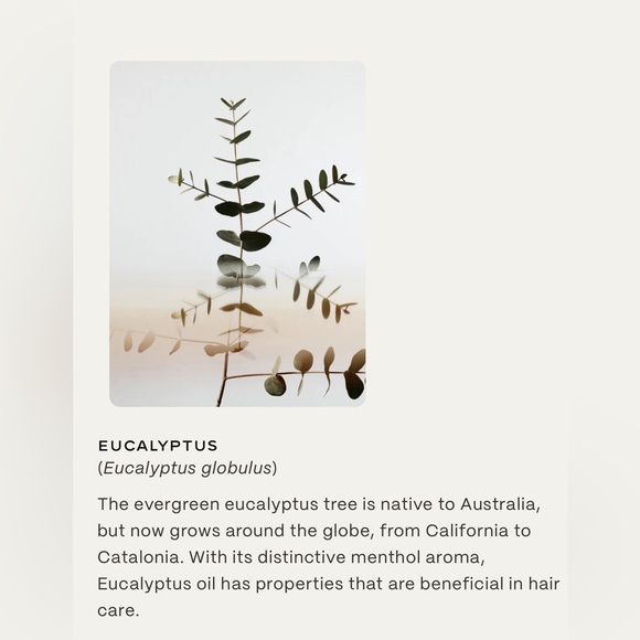 TWENTYNINE PALMS DESERT TUMBLEWEED CLEANSING SHAMPOO AND SOFTEN CONDITIONER. - Picture 9 of 13